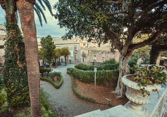 Green garden of the local university in Catania. Beautiful park of Sicily, Italy