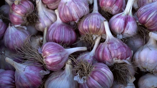 fresh garlic at the market