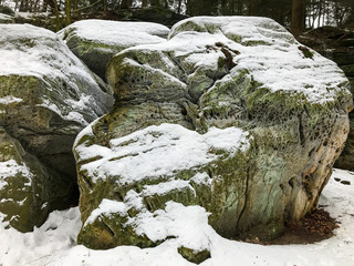 frozen stones in the forest