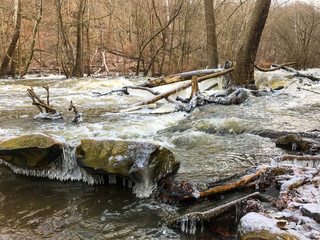 ice on limbs on the winter river