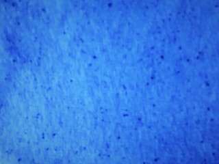  close-up of decorative abstract wall surface with blur / bokeh effect in classic blue color