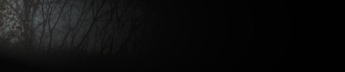  panorama of black background with tree branches