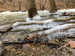 ice on limbs on the winter river
