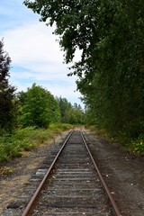Fototapeta premium railway in the forest