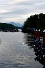 Boats are tied to a dock creating a line of outboard motors