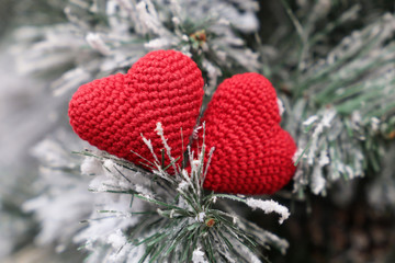 Christmas hearts, Valentine's day card, two red knitted symbols of love in the snow on fir...