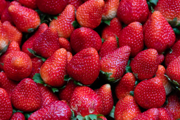 dIVERSAS FRUTAS MERCADO MUNICIPAL