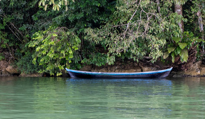 Small and simply made of a tree trunk, artisanal boat on green waters of lake, under shadow of thick green tropical vegetation.