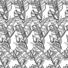 Seamless banana leaf pattern background. Black and white with draw line art illustration. Hand draw outline black leaves on white background.