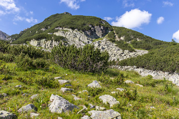 Fototapeta na wymiar Green hills around The Camel peak, Rila Mountain, Bulgaria