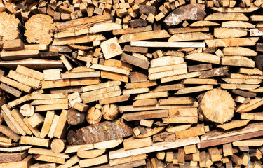 Boards and chocks of different breeds stacked in rows.