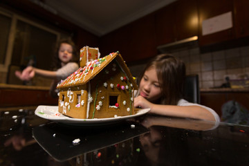 Kids First Gingerbread House Activity