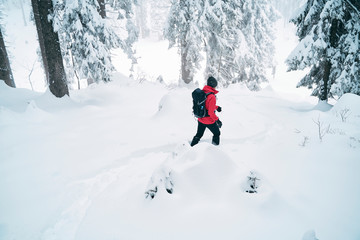 hiking in scenic nature, covered in snow. Female hiker. 