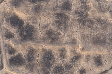 Concrete coating. Cracked stone background. Cement slab. The spotted skin of an ancient dinosaur.