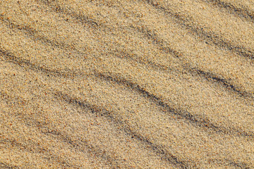Fototapeta na wymiar texture of golden sand