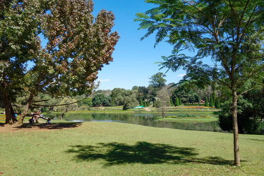 National Kandawgyi Gardens
