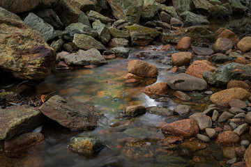 Naklejka na ściany i meble Rocks in Stream in Acadia National Park