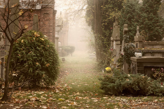 Old European cemetery in the fog. Sepia effect