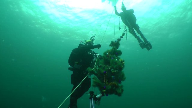 Archaeological divers celebrate the New Year under water: divers decompression with the New Year tree.