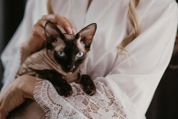 Beautiful bride with her siam cat in her hands. Blue eyes cat looking in the camera. Bride petting a cat. Wedding morning preparations