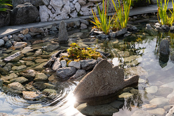 Zen ornamental pound, embellished with rocks and the bottom lined with pretty stones. Water iris...