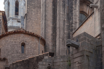 Fototapeta na wymiar View of the cathedral of Girona. 