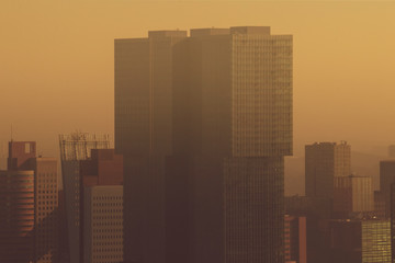 Rotterdam skyscrapers at sunset
