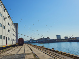 view of the city of mannheim