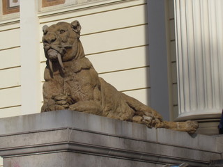 Facade of the La Plata Museum of Natural History. Highlight for the saber tooth tiger statue. 