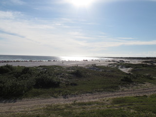 A nice winter afternoon in Praia Grande.