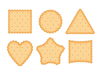 Biscuit cookie vector cartoon illustration. Vector biscuit cookie top view