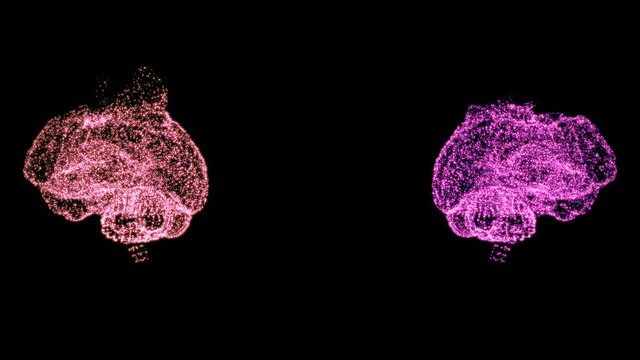 4k video of two abstract brain models under examination, rotating in space.