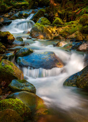 Fototapeta na wymiar Rain Forest Creek in the Pacific Northwest. Clean, clear running water in Wells Creek, a small stream located in the Mt. Baker area of Washington state.