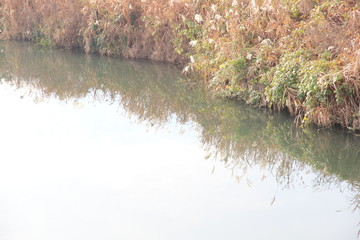 Early winter river and riverbank