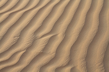 Sand in the desert. Closeup. Textute