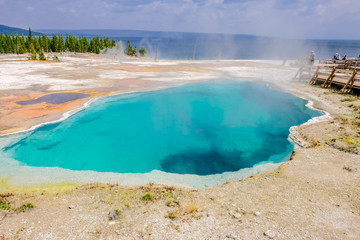 Spring of Yellowstone
