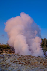 Geyser of Yellowstone