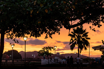 Obraz premium sunset on the beach with trees and palm trees