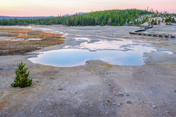 Spring of Yellowstone
