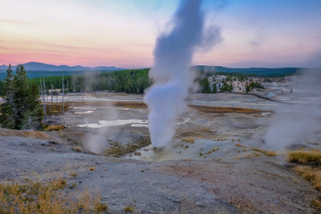 Geyser of Yellowstone