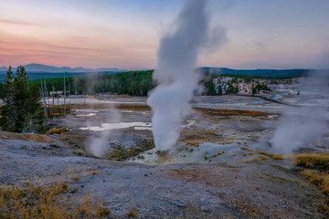 Geyser of Yellowstone