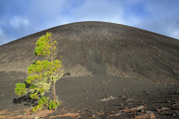 Panoramic view of the teide volcano