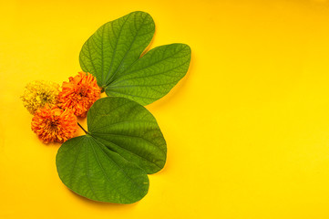 Indian Festival Dussehra, showing golden leaf (Bauhinia racemosa) and marigold flowers on a yellow...