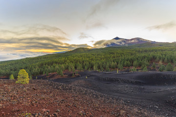 Black volcano fields. Chinyero, Tenerife island.