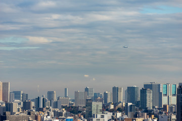 Fototapeta premium 東京パノラマビュー