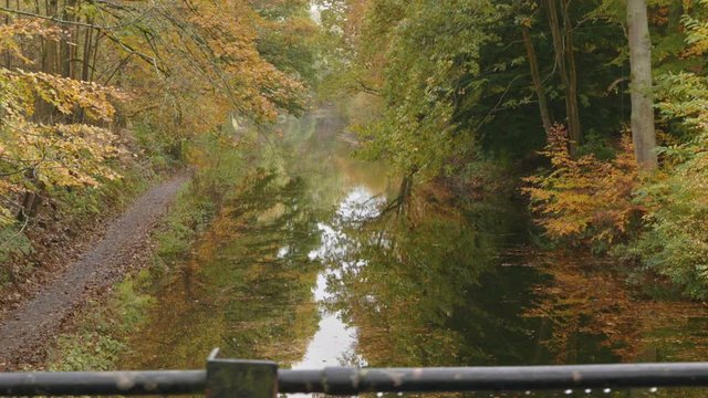 Leaves changing colour, from summer to autumn, in this animation, filmed on the banks of the Basingstoke Canal.