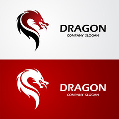 Obraz premium Dragon logo vector