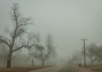 mourning winter fog in the street 