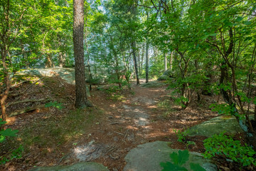 Obraz premium West Rim Loop Trail, Cloudland Canyon State Park, Georgia, USA