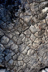 close up surface of burned wood.